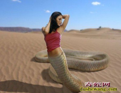 美女蛇图片