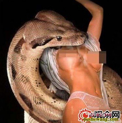 蟒蛇吃人