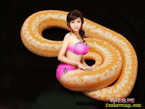 美女蛇图片