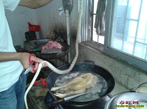 蛇肉做法，龙凤煲