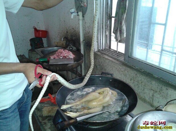 蛇肉做法,龙凤煲