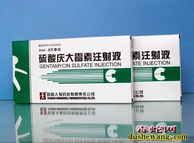 蛇肺炎治疗药物