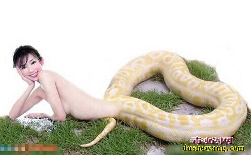 美人蛇