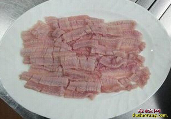 批发蛇肉