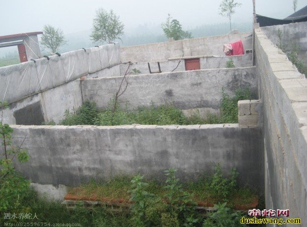 肉蛇养殖场