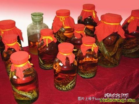 五步蛇干泡酒