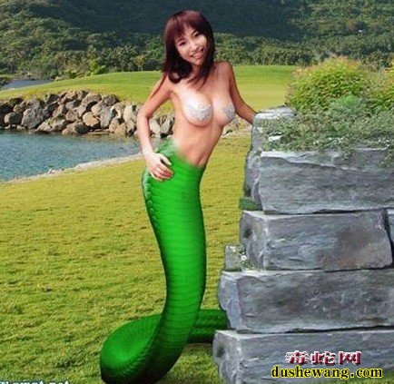美女和蛇图片