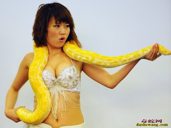 蛇美女图片