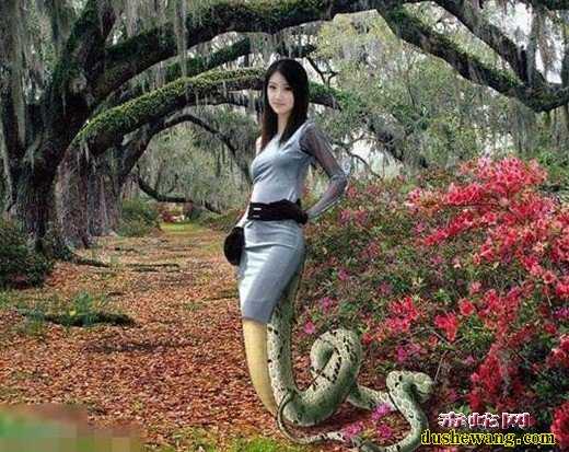 蛇美女图片
