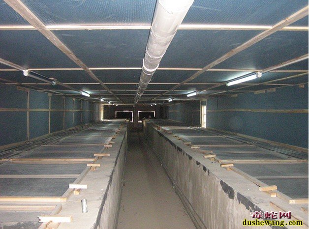 蛇场建造图片