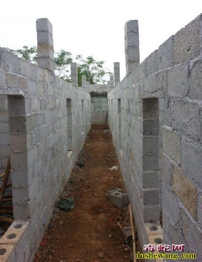 蛇场建造图片