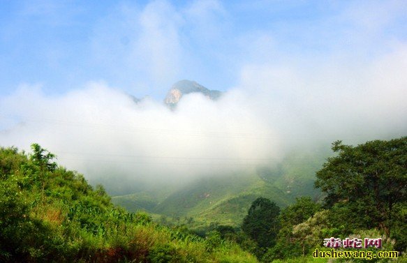 河北养蛇场