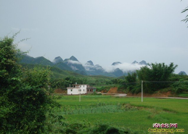 广东养蛇场