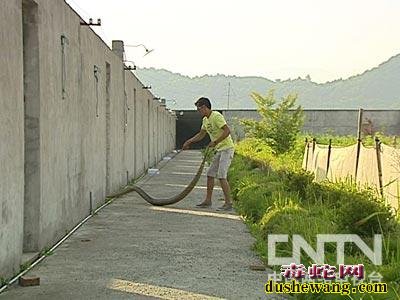 生态蛇园