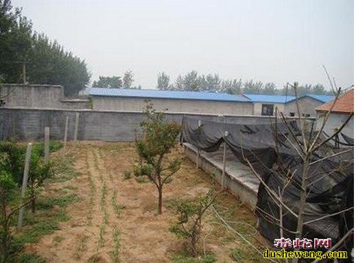 生态养蛇园设计图