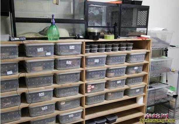 养蛇箱制作图解