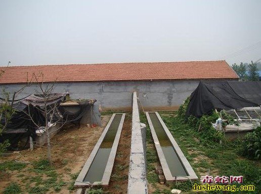 养蛇房建造图