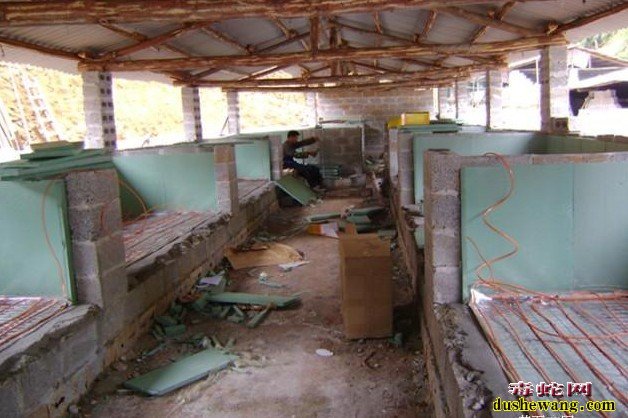 养蛇房建造图