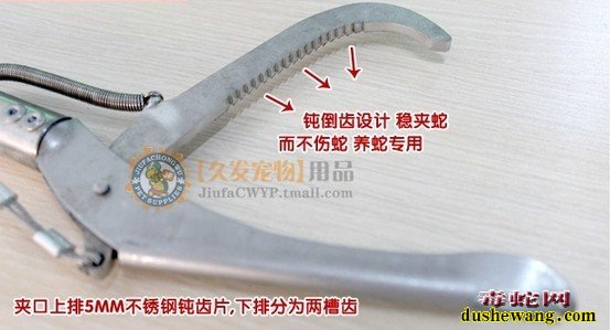 捕蛇钳子图片