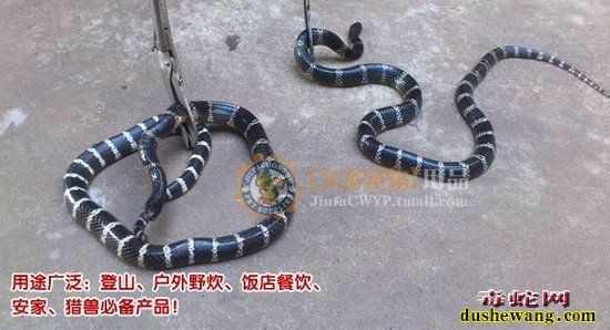 捕蛇钳子图片