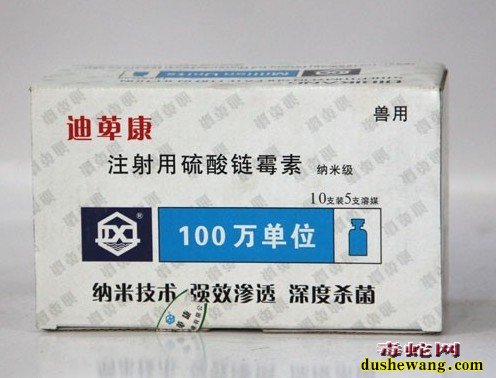 眼镜蛇肠炎怎么预防治疗?