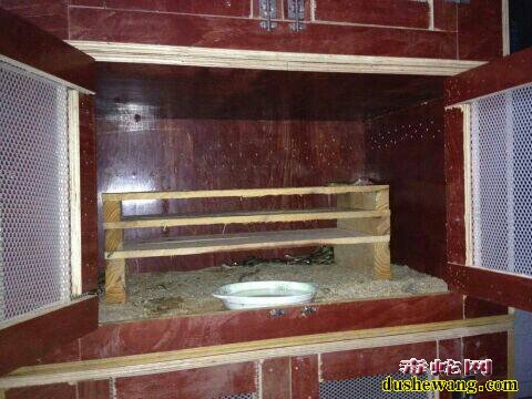蛇箱养蛇图片