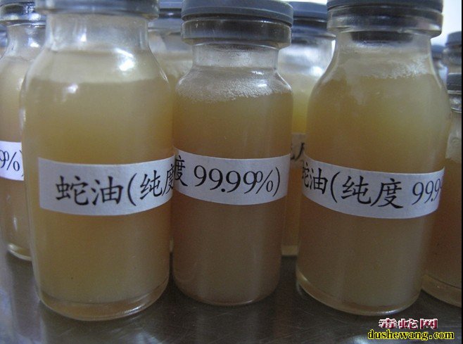 蛇的药用价值 蛇肉的功效