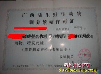 养蛇怎么办证，野生动物繁育技术方案