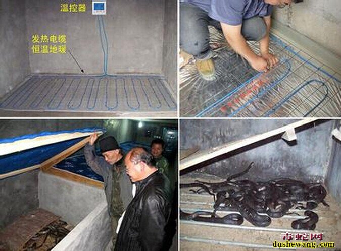 养蛇专用发热板图片