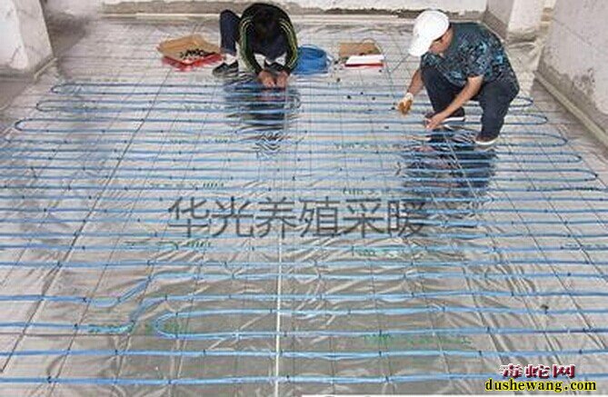 养蛇专用发热板图片