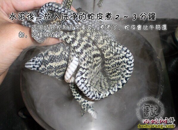 菜花蛇的蛇皮能吃吗? 凉拌蛇皮做法?