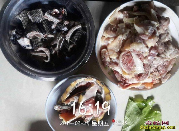 蛇肉可以吃吗