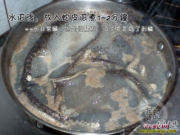 菜花蛇的蛇皮能吃吗? 凉拌蛇皮做法?