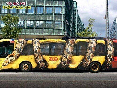 世界最大的蛇图片