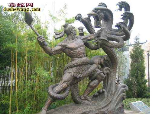 多头蛇图片