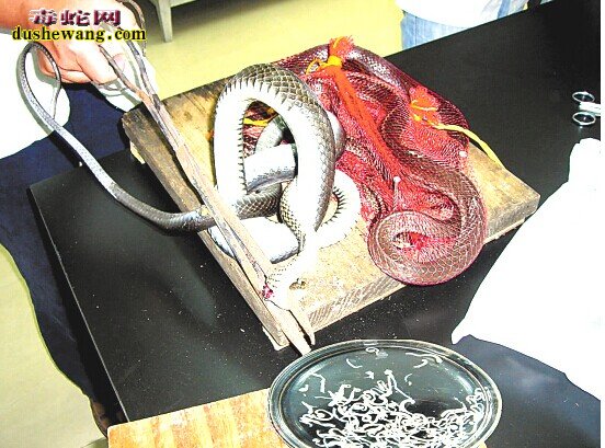 蛇寄生虫病有哪些 蛇寄生虫防治