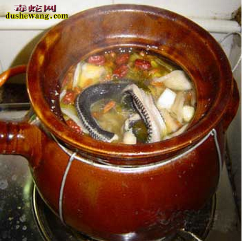 虫草龟蛇汤做法 虫草龟蛇汤怎么做好吃？