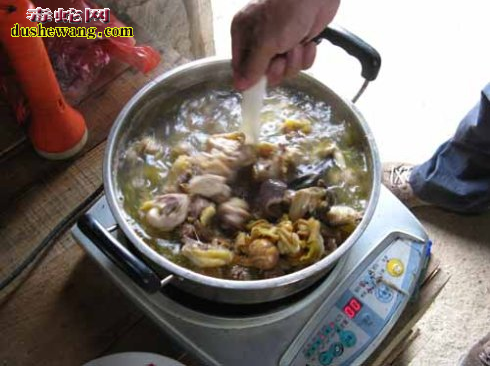 菜花蛇炖鸡