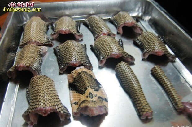 蛇肉加工