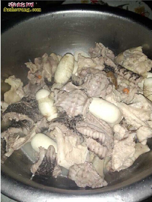 蛇肉哪里多