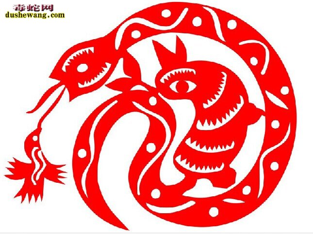 蛇盘兔图片