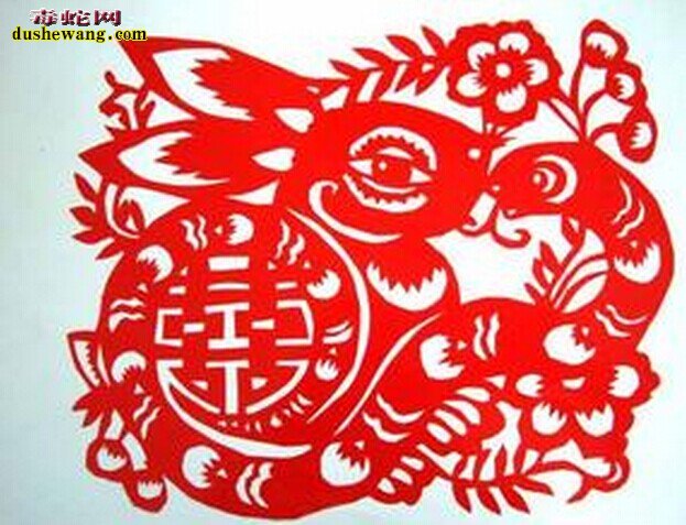 蛇盘兔图片