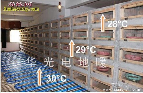 无冬眠养蛇