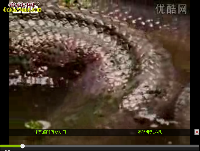 探索蟒蛇