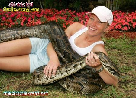 蟒蛇王