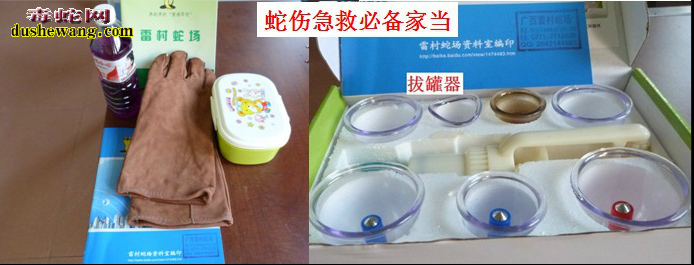 雷村蛇场,毒蛇养殖日常操作规范