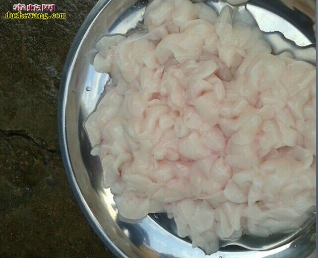 如何制作蛇肉 杀蛇蛇肉做法全过程
