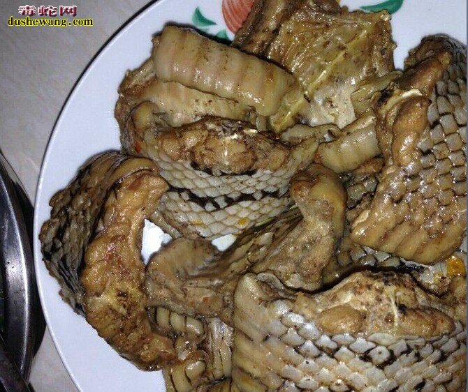 如何制作蛇肉 杀蛇蛇肉做法全过程