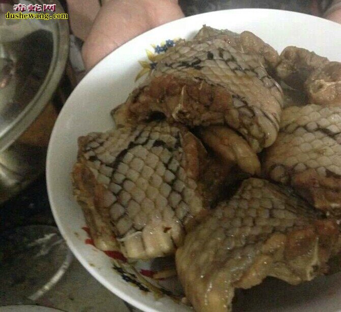 如何制作蛇肉 杀蛇蛇肉做法全过程