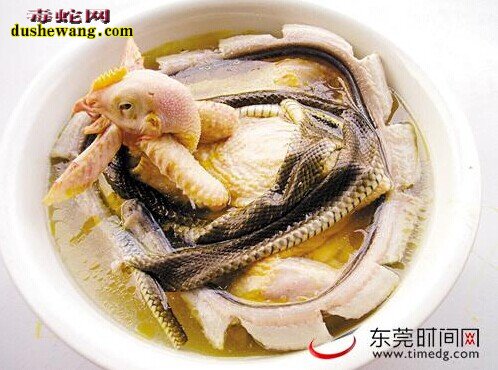 如何烧蛇肉,蛇肉怎么做